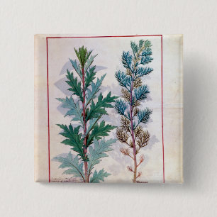 Badge Carré 5 Cm Deux variétés d'Artemesia