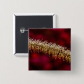 Badge Carré 5 Cm Dew du matin (Devant & derrière)