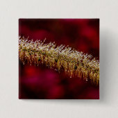 Badge Carré 5 Cm Dew du matin (Devant)