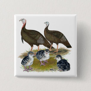 Badge Carré 5 Cm Dindes Famille Sauvage de l'Est