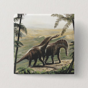 Badge Carré 5 Cm Dinosaures vintage, Amargasaurus avec palmiers