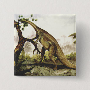 Badge Carré 5 Cm Dinosaures vintages, Plateosaure Pâturage sur les 