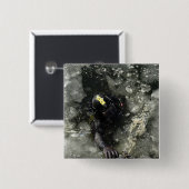 Badge Carré 5 Cm Diver US Navy (Devant & derrière)