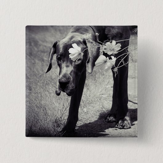 Badge Carré 5 Cm Doge Balu (Devant)