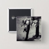 Badge Carré 5 Cm Dogge Balu (Devant & derrière)