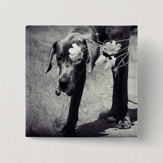 Badge Carré 5 Cm Dogge Balu (Devant)