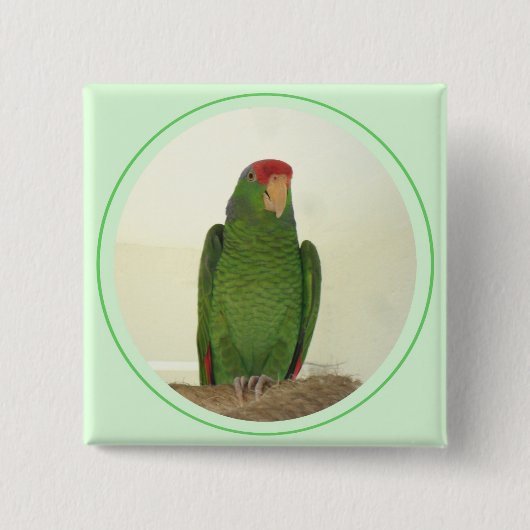 Badge Carré 5 Cm Dooley 1 (Devant)