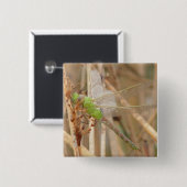 Badge Carré 5 Cm Dragonfly vert I1 (Devant & derrière)