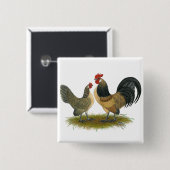 Badge Carré 5 Cm Dutch Bantam : Quail bleu (Devant & derrière)