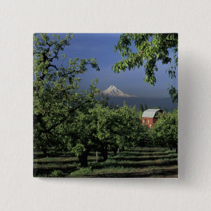 Badge Carré 5 Cm É.-U., Oregon, près de Hood River Mt. Hood avec