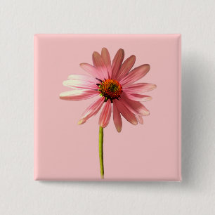 Badge Carré 5 Cm Echinacea purpurea