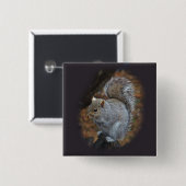 Badge Carré 5 Cm Écureuil gris de l'Est - Sciurus carolinensis (Devant & derrière)