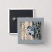Badge Carré 5 Cm Écureuil gris - Sciurus carolinensis (Devant & derrière)