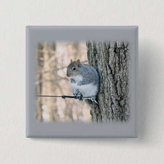 Badge Carré 5 Cm Écureuil gris - Sciurus carolinensis (Devant)
