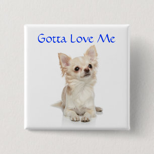 Badge Carré 5 Cm Épingle à bouton Chihuahua à poils longs que j'ado
