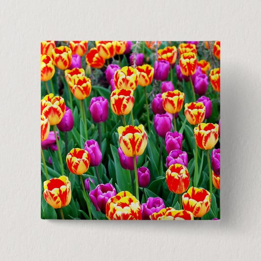 Badge Carré 5 Cm Épingle Neon Tulip (Devant)