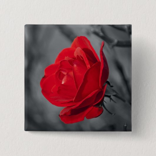 Badge Carré 5 Cm Épingle Rose Rouge (Devant)