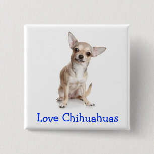 Badge Carré 5 Cm Épinglette Bouton Amour Chihuahuas