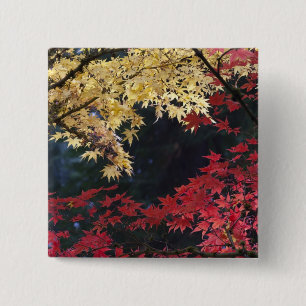Badge Carré 5 Cm Érables en couleur d'automne