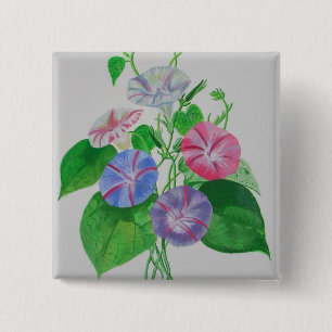 Badge Carré 5 Cm Escalade colorée Matin Glory Botanical Art
