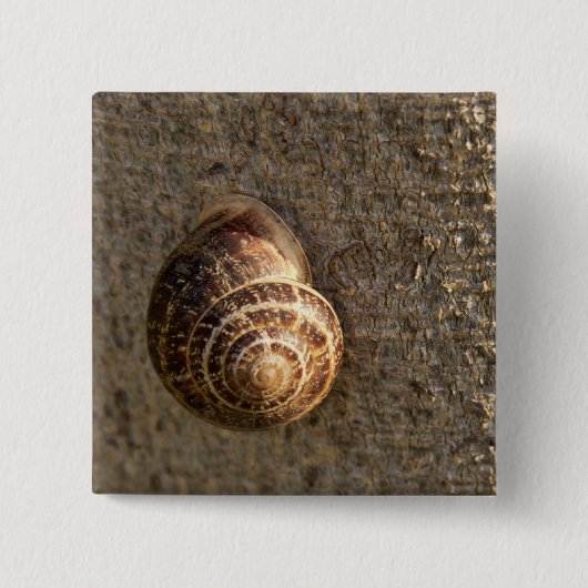 Badge Carré 5 Cm Escargot (Devant)