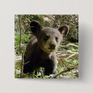 Badge Carré 5 Cm Espérez le bouton d'ours