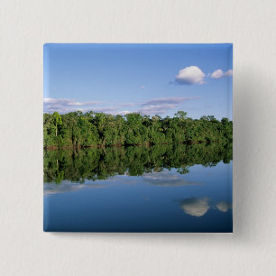 Badge Carré 5 Cm État du Mato Grosso, Amazonie, Brésil. Forêt
