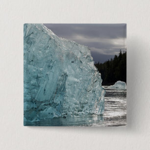 Badge Carré 5 Cm États-Unis, Alaska, Forêt nationale de Tongass, Tr