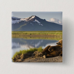 Badge Carré 5 Cm États-Unis, Alaska, Parc national de Katmai, Ours