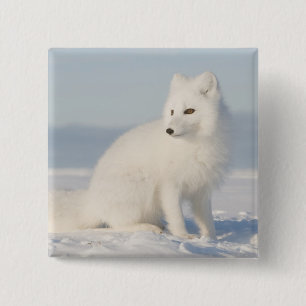 Badge Carré 5 Cm États-Unis, Alaska, plaine côtière de l'Arctique 5