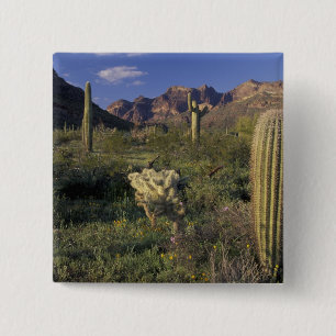 Badge Carré 5 Cm États-Unis, Arizona, Monument national d'Organ Pip
