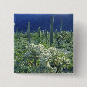 Badge Carré 5 Cm États-Unis, Arizona, Organ Pipe Cactus National