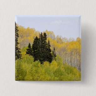 Badge Carré 5 Cm États-Unis, Colorado, forêt nationale de Gunnison,