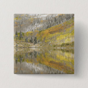 Badge Carré 5 Cm États-Unis, Colorado, White River National Forest,