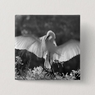 Badge Carré 5 Cm États-Unis, Floride, Grande Aigrette (Ardea alba)
