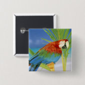 Badge Carré 5 Cm États-Unis, Hawaï. Perroquet (Devant & derrière)