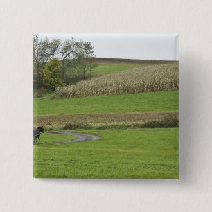Badge Carré 5 Cm États-Unis, nord-est de l'Ohio. Buggy amish dans u