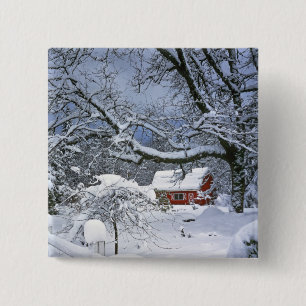 Badge Carré 5 Cm États-Unis, Oregon, comté de Clackamas. Neige fraî