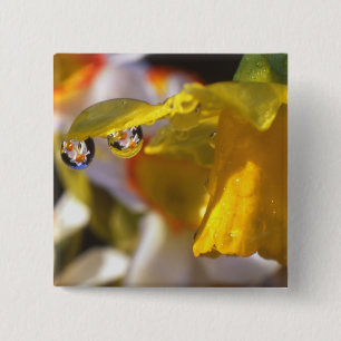 Badge Carré 5 Cm États-Unis, Oregon, comté de Multnomah, proximit