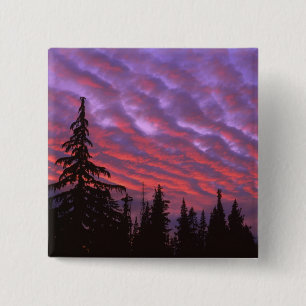 Badge Carré 5 Cm États-Unis, Oregon, Three Sisters Wilderness, Vivi