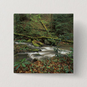 Badge Carré 5 Cm États-Unis, Tennessee. Big South Fork National Riv