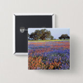 Badge Carré 5 Cm États-Unis, Texas, Llano. Bluebonnets et redbonnet (Devant & derrière)