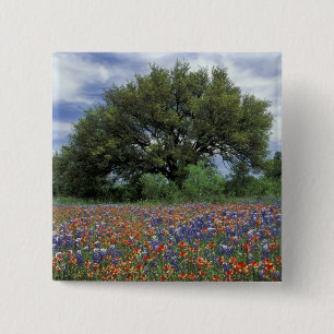 Badge Carré 5 Cm États-Unis, Texas, Marble Falls Pinceau et