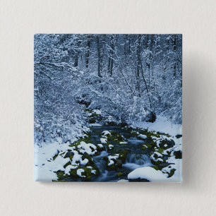 Badge Carré 5 Cm États-Unis, Utah, Forêt nationale de Wasatch-Catch