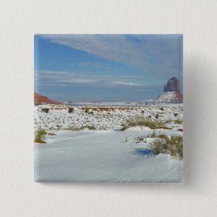 Badge Carré 5 Cm États-Unis, Utah, Monument Valley. L'armoise appar