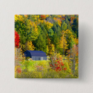 Badge Carré 5 Cm États-Unis, Vermont. Feuillage d'automne le long d
