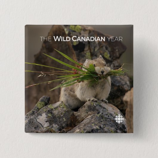 Badge Carré 5 Cm Été - American Pica (Devant)