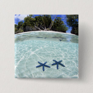 Badge Carré 5 Cm Étoiles de mer, Rock Islands, Palaos 2