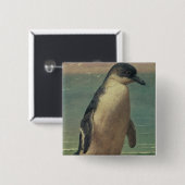 Badge Carré 5 Cm Étude d'un pingouin (Devant & derrière)