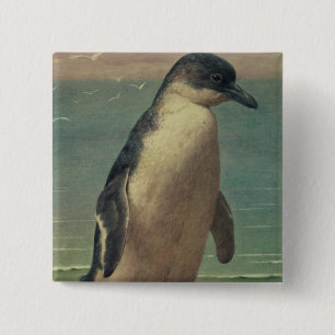 Badge Carré 5 Cm Étude d'un pingouin
